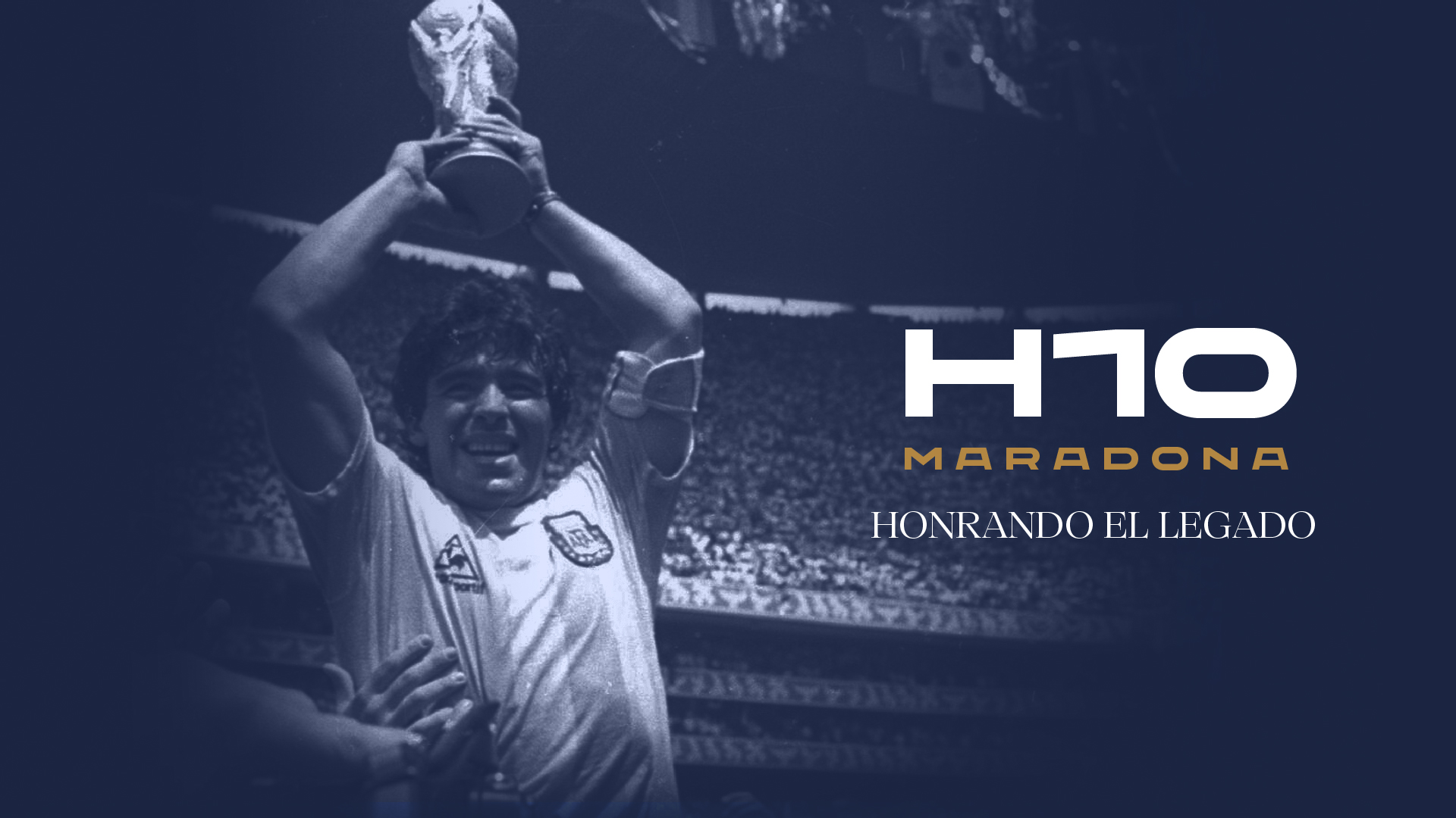 Descripción de la imagen