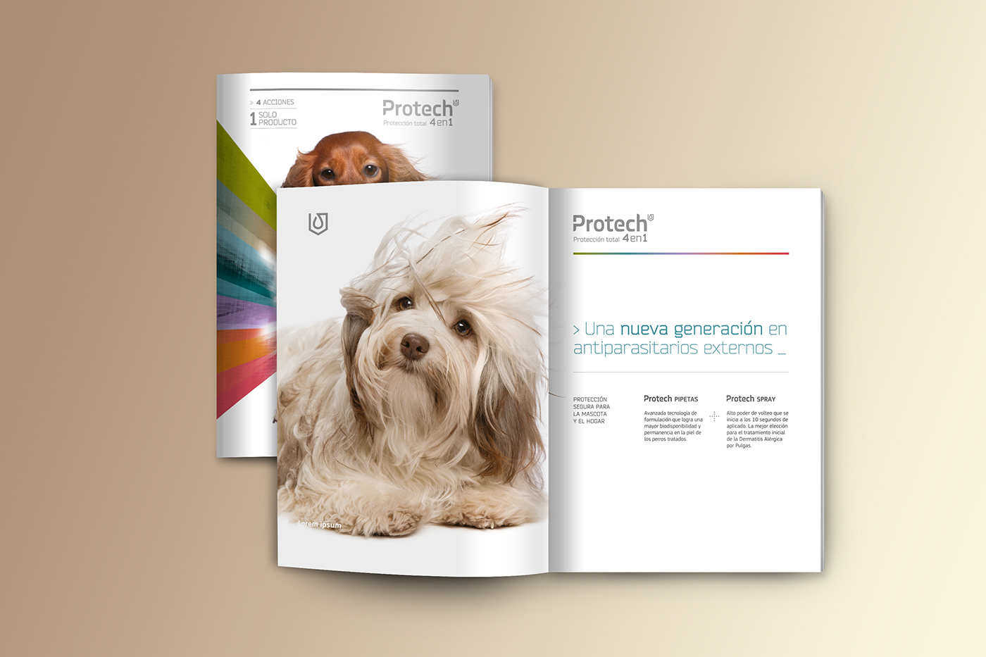 Descripción de la imagen